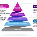 운암튼튼병원 네이버블로그