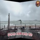 가을 비가 내리는 이른 아침에 회원님들과 호랑이 친구님 들을 그리면서~~~~~~~ 이미지