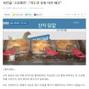 도하유통
