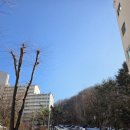 흥덕지구 1단지아파트 입구 | 군포 산본 아파트 4개단지 임장후기