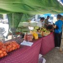 문양호농장 이미지