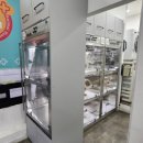 부곡동물병원 | 부곡동동물병원, 슬개골 수술 80만 원 vs 200만 원 차이의 진실