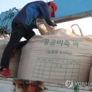 동서산 농협연합 미곡종합처리장 이미지