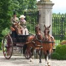 달리는마차 이미지