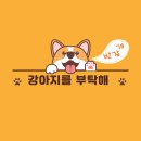 강아지를부탁해(돌봄) 이미지