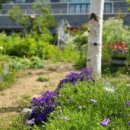 목화펜션 이미지