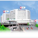 춘천성심약국 이미지