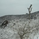 태백 함백산(1,572m) 겨울눈꽃산행 (5) 이미지