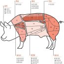 고기땡긴다