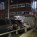 대도백양 이미지