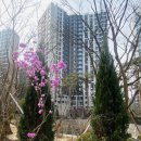 진달래약국 이미지