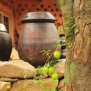 흙집풍경 이미지