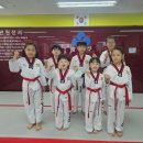 용인대삼성태권도장 이미지