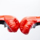 연세복싱 이미지