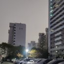 동아큰나무공인중개사사무소 | [사는 중입니다] 9화 — 벚꽃과 함께, 계약서를 썼다