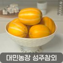 성주농장 | 성주참외 당도 끝판왕, 대민농장 프리미엄 성주참외