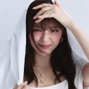 정연