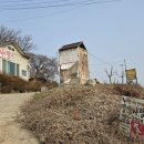 신왕2리마을회관 | 260327 평택섶길 3-1코스(명상길)