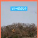 울타리2호점 이미지