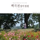 진천장미공원 이미지