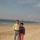 대천해수욕장 이미지