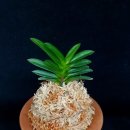 두엽농장 이미지