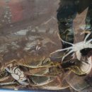 미가식당 이미지