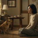 반려동물과함께하는#설렘 이미지