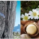 플러스카클리닉 이미지