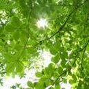 (주)매일경제TV 이미지