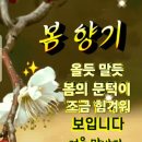 3월8일 일요일 오늘의 책속의 한마디 이미지