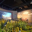 기획전시 「습지를 가다」 | 김해 화포천습지과학관 주말 예약 꿀팁