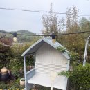 장미 | 경상남도 김해시 카페 휘게 (목향장미) 방문 후기