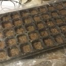 민들레2농장 이미지