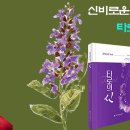 신비한 타로의 세계 이미지