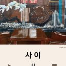 야요(yayo)