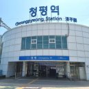 청평역관광안내소 | 아침고요수목원 가평 놀거리 봄꽃 축제 후기