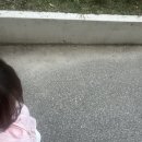 초가수퍼마켓 이미지