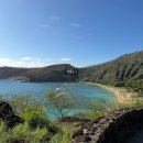 하와이낚시터 | 하나우마베이 예약대행 픽드랍포함 하와이몰 내돈내산 후기