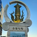 도깨비회수산 | 강원도 주문진 횟집 추천 다물선횟집 회포장 후기 주문진수산시장