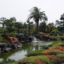 일출빌딩 이미지