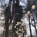 빛나키즈랜드1 이미지