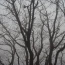 팔당역 예봉산[팔당-3] 이미지