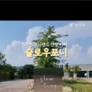 카페인포니