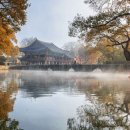 (주)제주모아투어 이미지