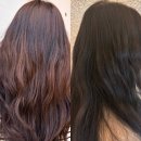 동탄역 미용실 라운드뮤즈 애쉬 브라운 톤다운 염색 추천