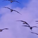 시티원부동산중개 이미지