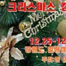 쭌이야기 이미지