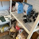 돼지우리순대 이미지