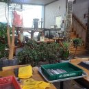 남촌칼국수 이미지